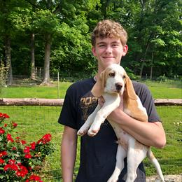 Beagle Puppies from Long Creek Beagles