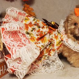 Shih Tzus from Dogwood Country Shih Tzu