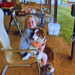 Australian Shepherd Puppies from Reinemn Kennels