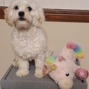 Cavaton All Grown Up from Lakeshore Cavatons