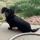 Violence