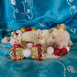 French Bulldog Puppies from Texas Star Frenchies