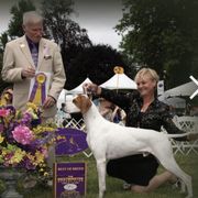 Chalice - Pointer