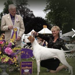 Chalice - Pointer