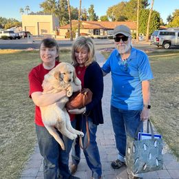 Golden Retriever Puppies from Grand Canyon Goldens
