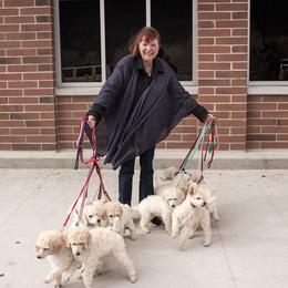 Poodle Puppies from Wispynook Poodles