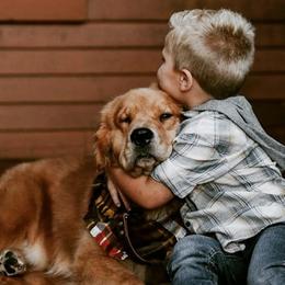 Golden Retrievers from Priderock Golden Retrievers