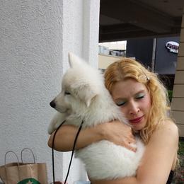 Berger Blanc Suisse and German Shepherd Puppies from Vom Hundhaus German Shepherds