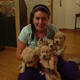 Golden Retriever Puppies from Sky Harbor Golden Retrievers