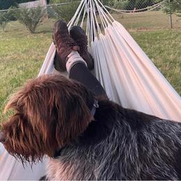 Wirehaired Pointing Griffon Puppies from Three Beard Kennels