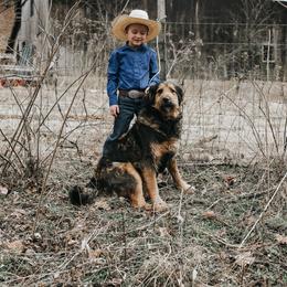 Beretta - Bernedoodle