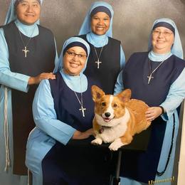 Pembroke Welsh Corgi Puppies from Gotta Chase Em All Corgis