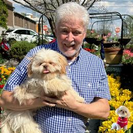 Shih Tzu Puppies from Pup-Tzu WNC