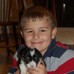 Pembroke Welsh Corgi Puppies from Synergy Stables, Inc.