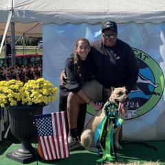 Perro de Presa Canarios from Kings Court Kennel