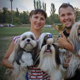 Poodle and Shih Tzu All Grown Up from Ganna Sultan