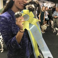 German Wirehaired Pointer Puppies from RipTide Kennels