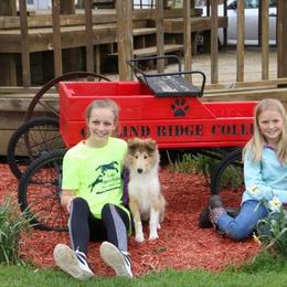 Collie All Grown Up from Garlind Ridge Collies
