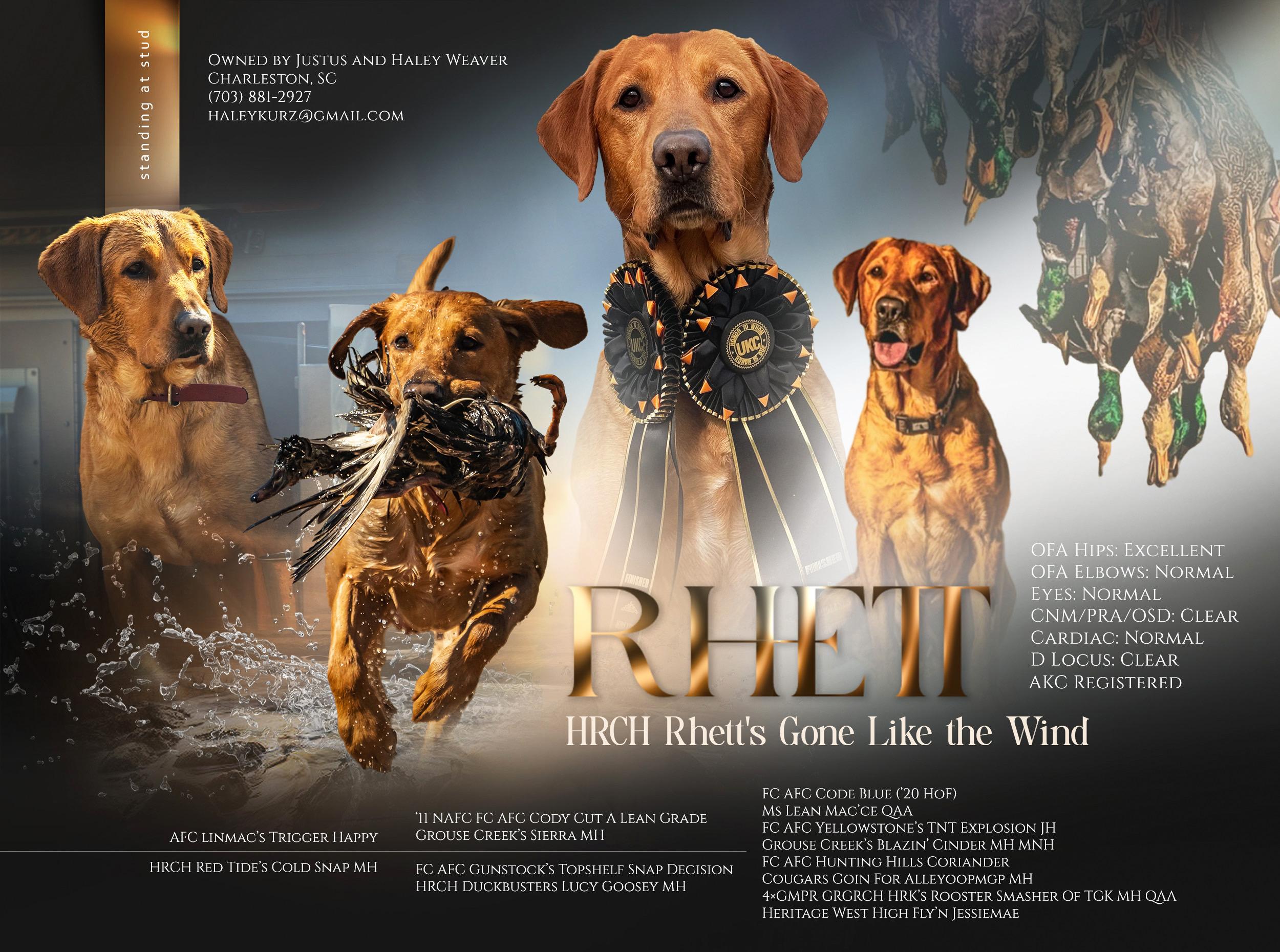 Rhett