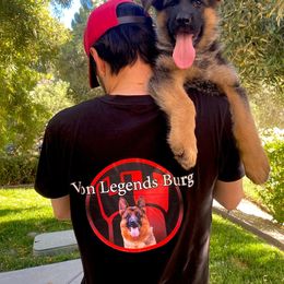 German Shepherd Puppies from Von Legends Burg