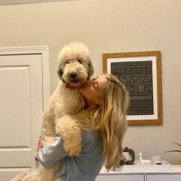 Goldendoodle, Poodle, and Sheepadoodle All Grown Up from Brewer's Goldendoodles & Sheepadoodles