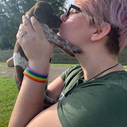 German Shorthaired Pointer and Jack Russell Terrier Puppies from Ivy Creek Kennels