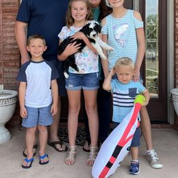 Sheepadoodle Puppies from Narrow Path Puppies