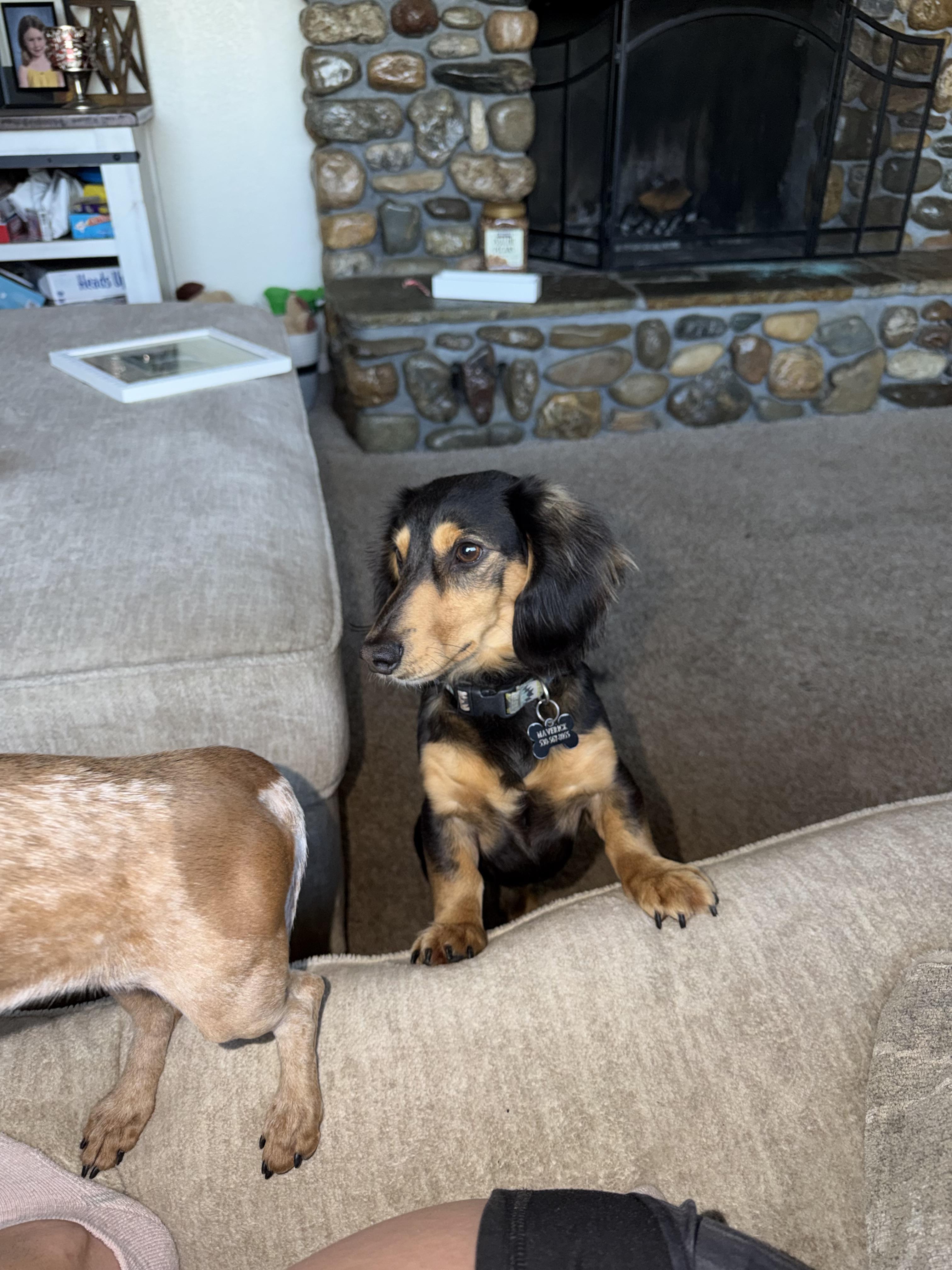 Mav