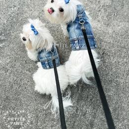 Mal-Shi and Maltese Puppies from Petite Pawz
