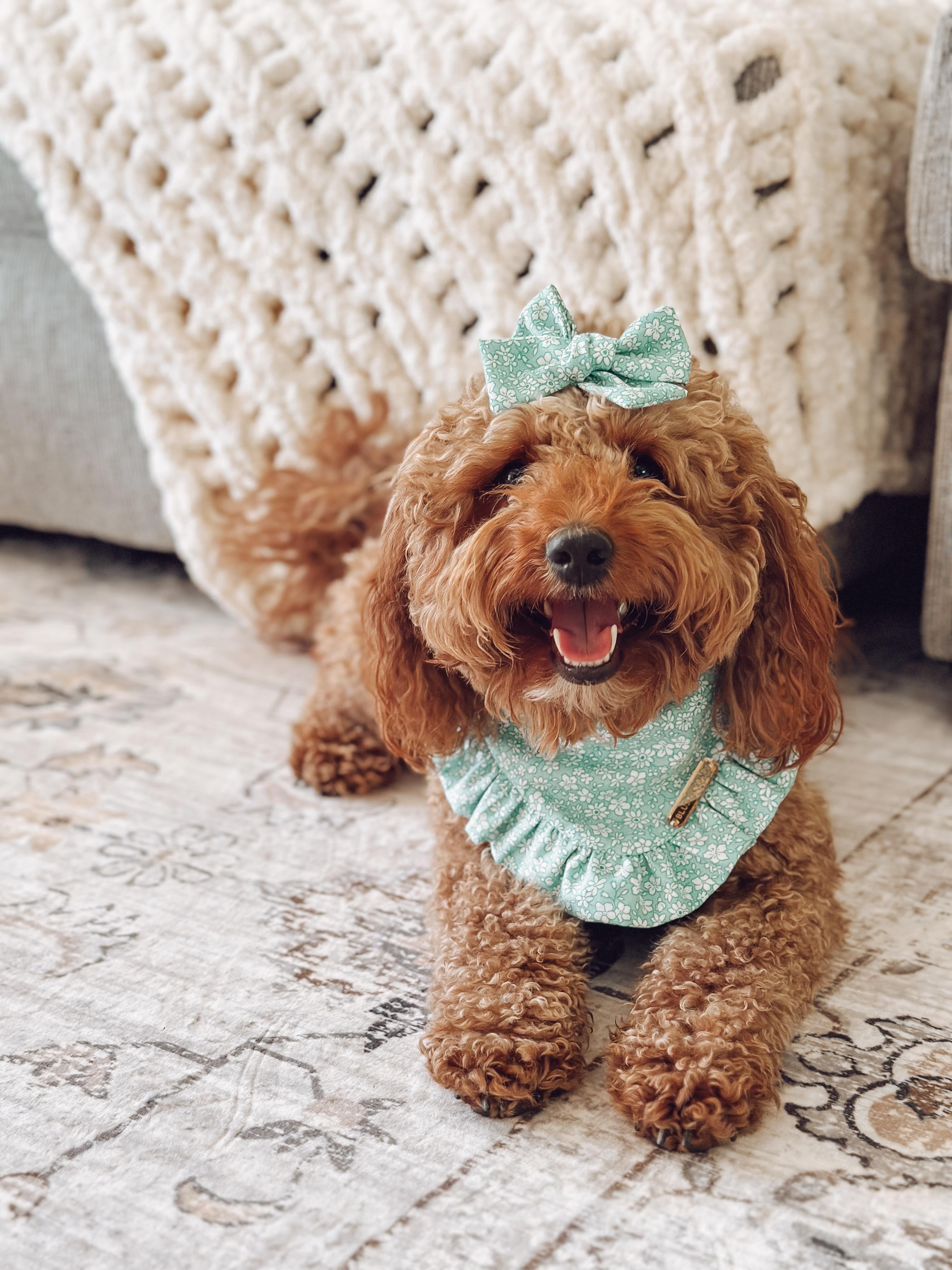 Remi