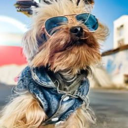 Yorkshire Terriers from Christie's Yorkies