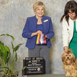 Havanese and Russian Tsvetnaya Bolonkas from Alchemy Havanese