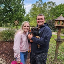 German Shepherd Puppies from Von Hoene Heritage Shepherds