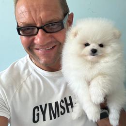 Margot - White female Pomeranian puppy in Charlotte, North Carolina from Kouture Pomeranians