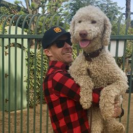 Labradoodles from Bigfoot Doodles