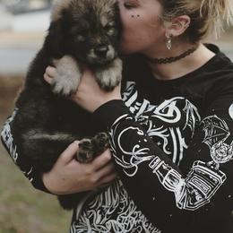 Neapolitan Mastiff and Tibetan Mastiff Puppies from Carolina Coastal Mastinos