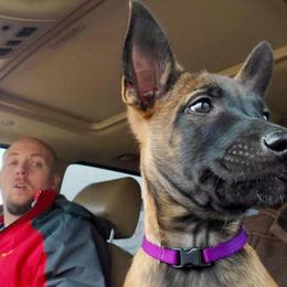 Belgian Malinois Puppies from Christina Potts Potts