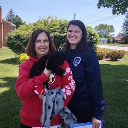 Miniature Schnauzer Puppies from Shenandoah Schnauzers