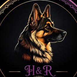 German Shepherds from H&R shepherds