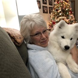 Samoyed Puppies from Calista Samoyeds