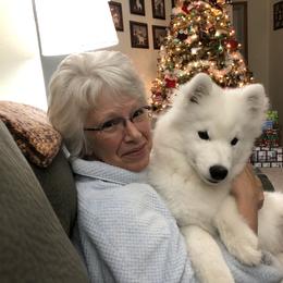Samoyed Puppies from Calista Samoyeds