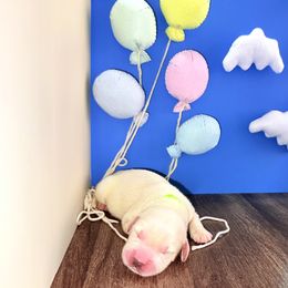 Golden Retriever Puppies from Top Gun Golden Retrievers