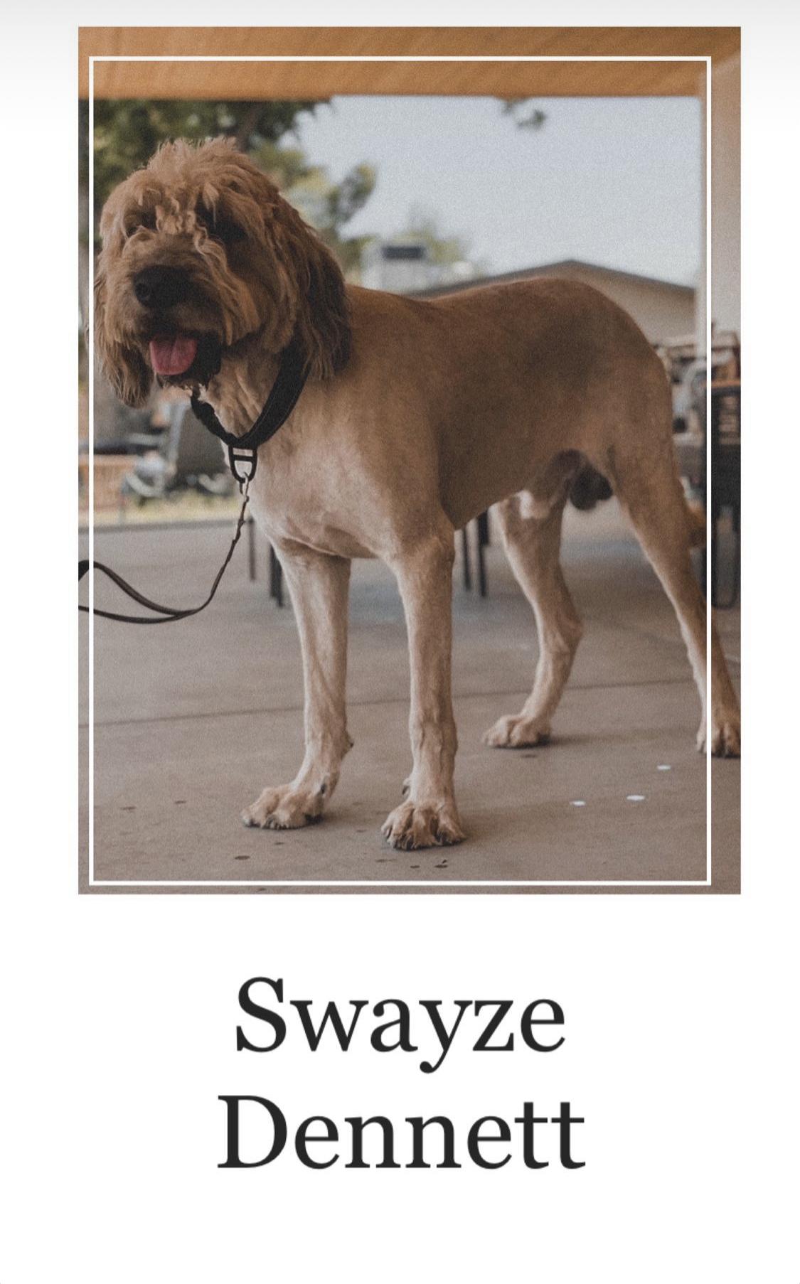 Swayze