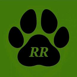 Red - Black and mahogany male Rottweiler puppy in Tangent, Oregon from Raya's Royals