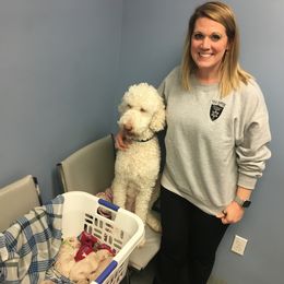 Goldendoodle, Schnoodle, and Sheepadoodle Puppies from Dood Ranch