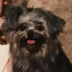 Mi-Kis from Estrellita Mi-Ki's