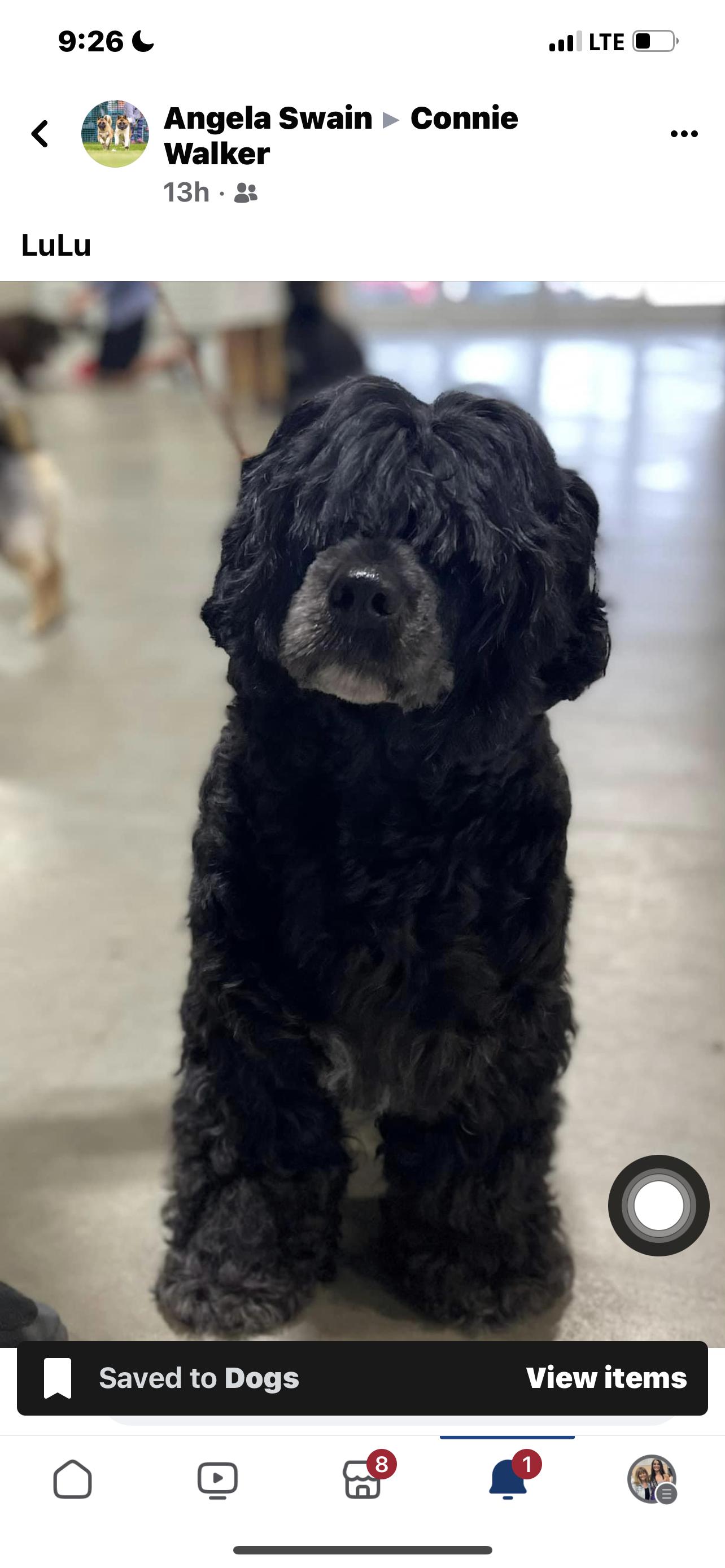 Lulu