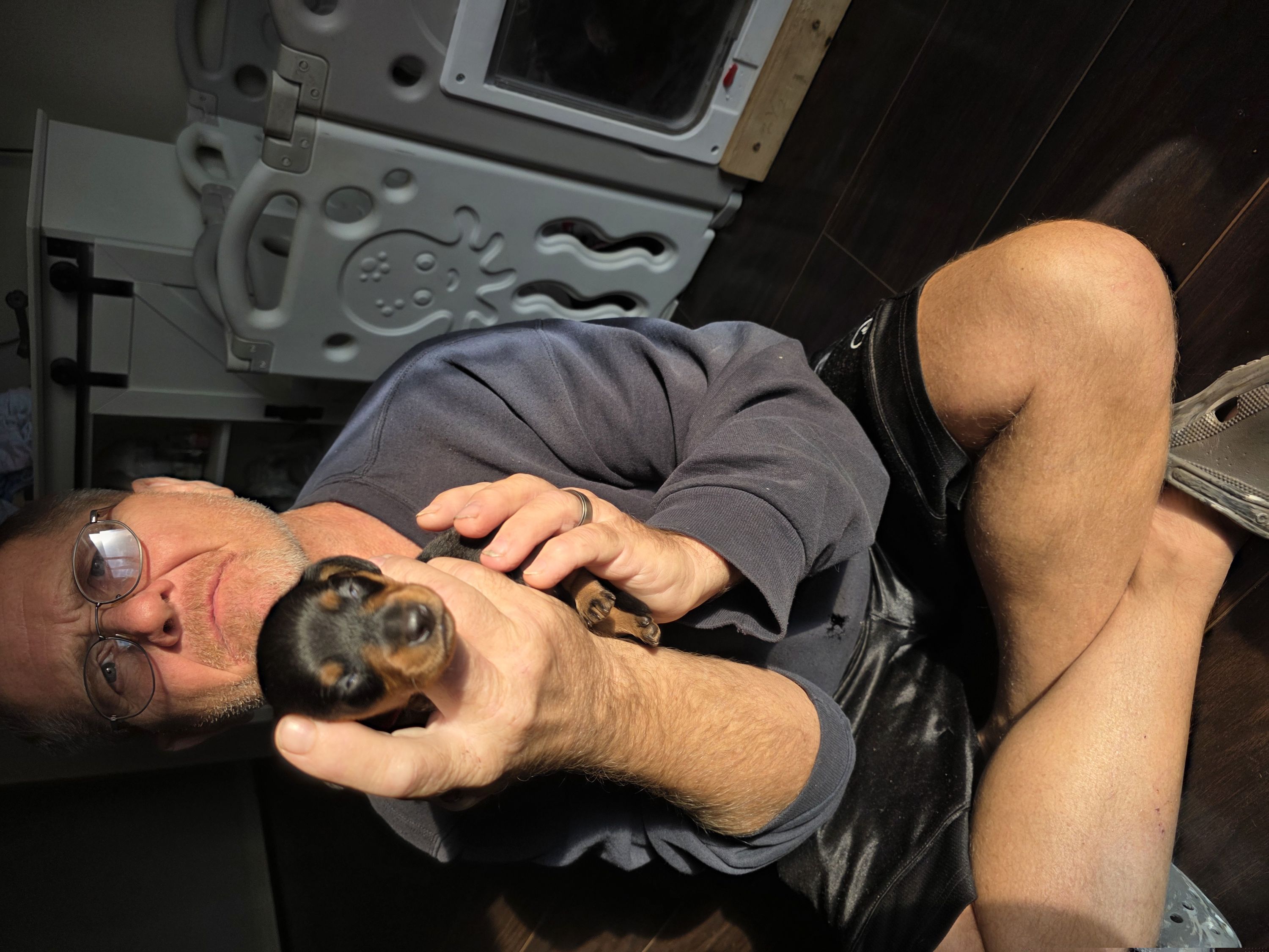 Three Red - Black and tan male Dachshund puppy in Clarksville, Tennessee from Sonya's Dachshunds