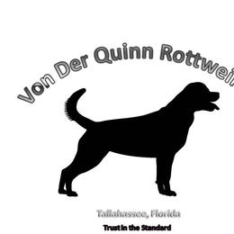 Boy 7 - male Rottweiler puppy in Tallahassee, Florida from Von Der Quinn Rottweilers