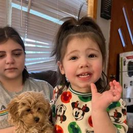 Maltese, Maltipoos, and Poodles from C&Js Tiny Toys